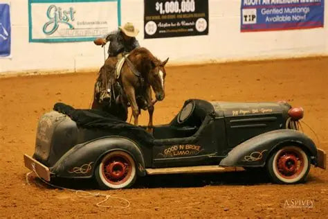 A Tribute To The Loss of Two Great Horseman Just Days Apart
