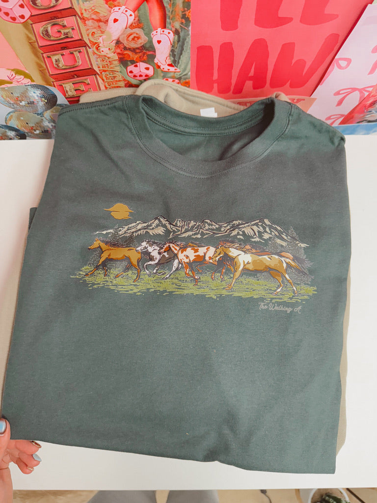 WILD HORSES