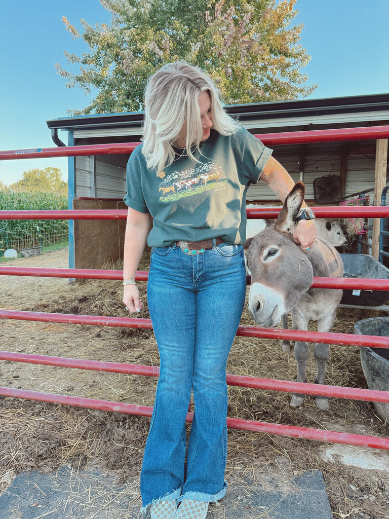 WILD HORSES