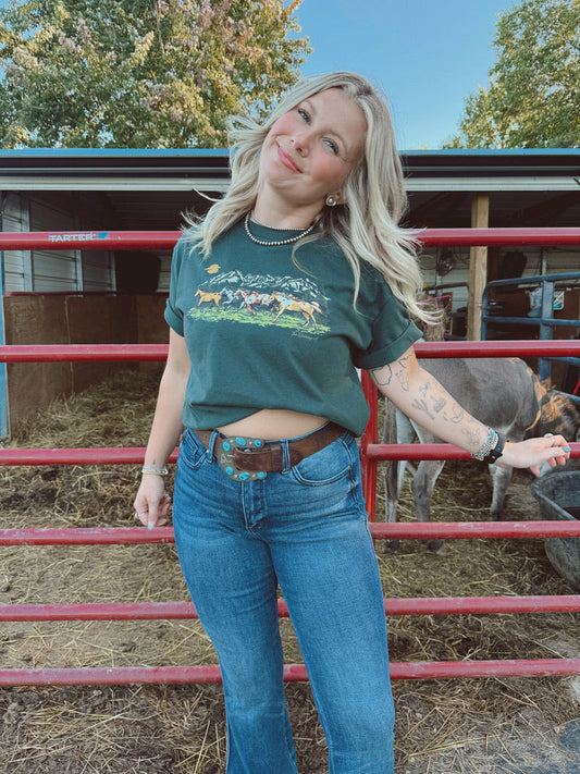 WILD HORSES